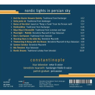 NORDIC LIGHTS IN PERSIAN SKY