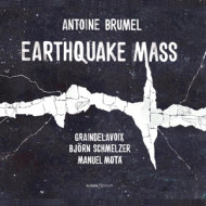 ANTOINE BRUMEL: EARTHQUAKE MASS