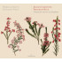 SONATES POUR FLUTE ET PIANOFORTE