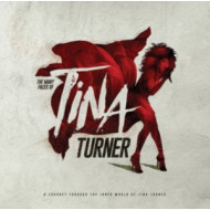 THE MANY FACES OF TINA TURNER