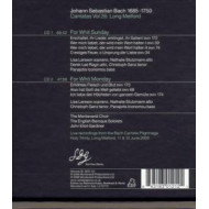 BACH KANTATEN 26: PFINGSTKANTATEN
