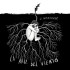 LA RAIZ DEL VIENTO