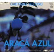 ARACA AZUL