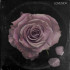 LOVESICK