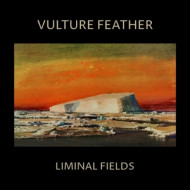 LIMINAL FIELDS