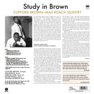 STUDY IN BROWN