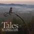 TALES OF A FOREST, A LAKE AND THE SLEEPING GIANTS