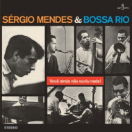 VOCE AINDA NAO OUVIU NADA