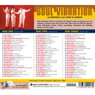 SOUL VIBRATION