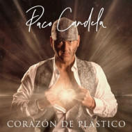 CORAZON DE PLASTICO