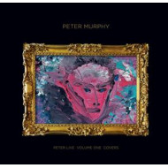 PETER LIVE VOLUME 1 COVERS