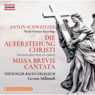 ANTON SCHWEITZER