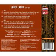 JOSEF LABOR: QUINTET FOR CLARINET OP. 11 - QUINTET IN D - CLARINET TRIOS