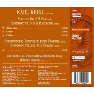 WEIGL: SYMPHONY NO. 3