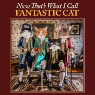 NOW THAT'S WHAT I CALL FANTASTIC CAT