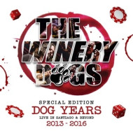 DOG YEARS LIVE IN SANTIAGO & BEYOND 2013-2016