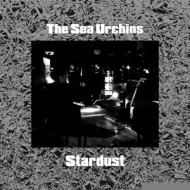 STARDUST