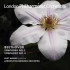 SYMPHONY NO.1 & 4