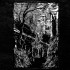 LIVE AT ROADBURN 2017