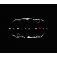 DAMASK ROSE