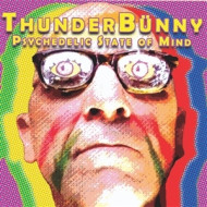 PSYCHEDELIC STATE OF MIND