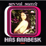HAS ARABESK