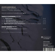 VEREIN FUR MUSIKALISCHE PRIVATAUFFUHRUNGEN VOL.2