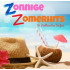 ZONNIGE ZOMERHITS 2020