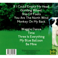 DAVID RHODES BAND