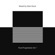 PURE PROGRESSIVE VOL. 3