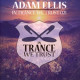 IN TRANCE WE TRUST 21<br/><h5>Megjelenés: 2016-08-05</h5>