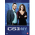 CSI:NEW YORK S2