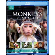 MONKEY'S REVEALED