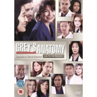 GREY'S ANATOMY S10