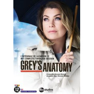 GREY'S ANATOMY SEASON 12