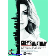 GREY'S ANATOMY SEASON 13