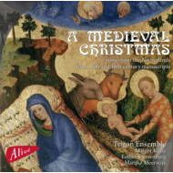 A MEDIEVAL CHRISTMAS