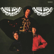 ARE YOU EXPERIENCED