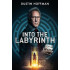 INTO THE LABYRINTH