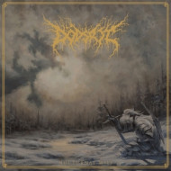 NOCTURNAL WILL