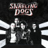 SNARLING DOGS