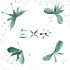 EXO