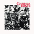COLUMBA TRISTE