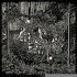 CITY SWAMP