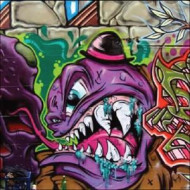 WELCOME TO RAVER S LAND