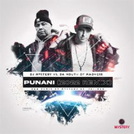 PUNANI (2022 REMIX)