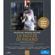 LE NOZZE DI FIGARO<br/><h5>Megjelenés: 2022-08-12</h5>