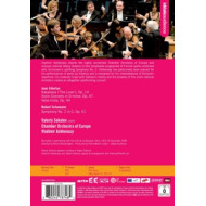 VIOLIN CONCERTO/VALSE TRISTE