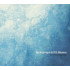 BIRD & WHITE NOISE