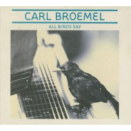 ALL BIRDS SAY